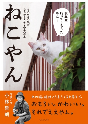 そのへんの猫がなんか言うてる写真の本　ねこやん